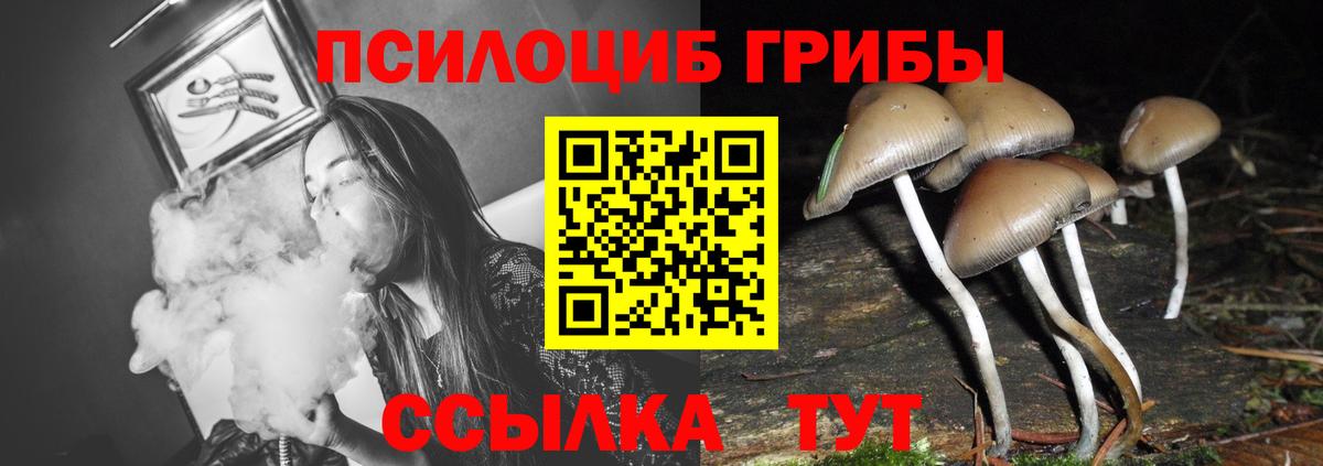 Галлюциногенные грибы Cubensis Нижневартовск